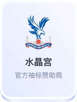 水晶宫官方袖标赞助商